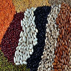 Lentille rouge, riz basmati, pois chiche  - céréales nous pouvons fournir n'importe quelle quantité de lentilles ( rouge,  jaune verte etc.. ) ,  riz basmati et tout autre type,  haricots,  soja,  pois chiche,  sésame,  fève et tout type de légumineuses. prière de nous contacter.