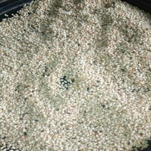 Sesame Seeds - seed plant seed commodity- sesame seeds---price- $1, 650 per mt---style- natural---protein- 17.7g/100g---purity- 99.95% max---infestation- none---ffa= 2%---auto dried=96%---moisture- 3.49%---impurities- 0.021% max---color- 99.90% pure white ---oil content- 51.96%--features- hand selected,  no pesticides,  no speckle,  