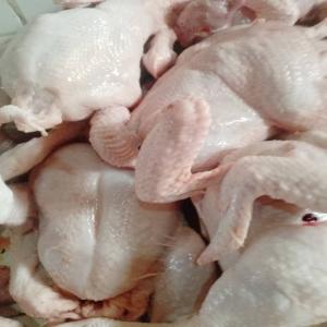 Gros Poulets de chair de 45jours et poussins  - autres nous élevons des poulets de chair sains dans le strict respect des règles en matière d'élevage industriel. poids 1, 5kg. prix 2800. --