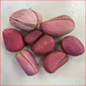 Organic Premium Quality Kola Nuts Wholesale  - roasted seeds and nuts storage type cool and dry store--specification kola nut--shelf life lifetime--manufacturer kolanut--ingredients kola nut--content kola nut