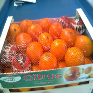 FRUITS  ET  LÉGUMES  - fruits et légumes vente orange maroc variété clementine calibre 1, 2, 3, 4, 5, 6 variety- maroc late. calibers-sizes- 1, 2, 3, 4, 5, 6 boxes- wooden boxes 15 kg price fob agadir- 0.60 euro / kg.--vente melon vert melon jaune fruit du maroc avec prix 0.56 euro le kg--vente pasteque du maroc. 200 tonnes avec un pri