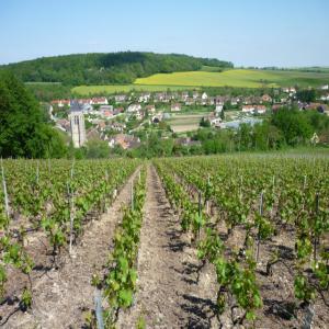 fournisseur en produit de la terre. - vins je peu vous fournir en vin,  foin,  paille,  luzerne,  agneau,  mouton.--très belle région du languedoc roussillon,  proche tavel.--travaille sérieux et suivi.--