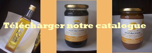 Huile argan du Souss  - huiles huile bio pour la peau,  le visage. huile d'argan alimentaire et huile d'argan bio pour la beauté. de la région du souss au sud du maroc. très bonne qualité garantie par nos producteurs locaux.--