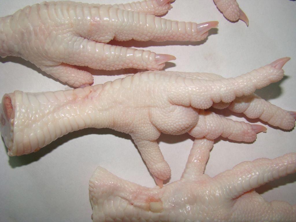 patte de poulet  - viandes et oeufs société d'import export vende des pattes de poulet a/b a 450$/cif pour le marché asiatique au autre contacté nous................................cordialement --