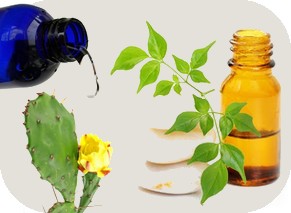 Matières premières aromatiques  - huiles nous sommes une société marocaine productrice et créatrice de matières premières aromatiques.--nous proposons une large gamme d'huiles végétales,  d'huiles essentielles,  d'eaux florales,  de plantes médicinales et d'herbes aromatiques issues d'un