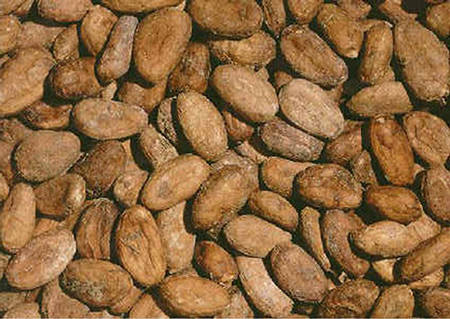 Vente de fèves de cacao Grade II - café cacao thé cher monsieur /madame----nous venons par la présente vous faire part de l’ offre de vente de fèves de cacao;--en effet,  nous recherchons  un client serieux qui souhaite acheter 3000 tonnes de cacao production de la campagne 2011-2012 ; produits  provenant de la côte d’ivoire.--au