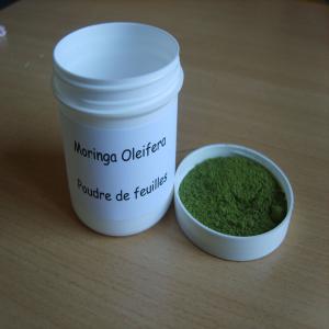 Moringa  Oleifera - semence graine plant le moringa est une plante qui contient plusieurs vitamines elle est à la fois une plante nutritionnelle et medicinale merci de me contacter pour plus amples informations,  existe en poudre de feuilles ,  de racines puis des graines .