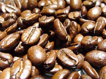 Café Vietnam Robusta - café cacao thé bonjour, --nous vous proposons aujourd'hui de nouveau produit-----café robusta r1 s16--café robusta r1 s18--café robusta r2 s13----plus d'information veuillez me contacter.----nicolas