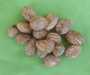 amandes de karite