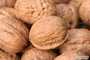 greek nuts/grecques noix 1.50€ par kg prix dat !)