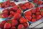 fraises du maroc . moroccan strawsberry 