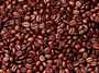 coffee - cocoa  beans - raw cashew to sale