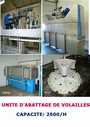 unite d'abattage de volaille