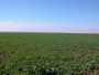 vend terrain agricole en roumanie zone braila 