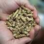 wood pellets biogas