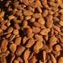 amandes espagne grandes quantitees