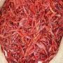 piment bec d oiseau en poudre sac de 25kg