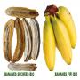 bananes séchées bio