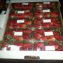 fraises fraiches et surgelees