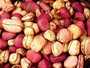 looking for interested buyers for kola nuts 