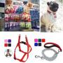 complements -accessoires pour animaux-petshop