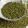 green mung beans  