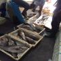 poisson frais et filets import senegal