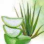 vente produit naturel à base d'aloe vera