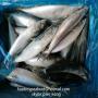 selling frozen fish-mackerel wr/hgt for canning 