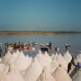 sel iodé lac rose senegal fournisseur