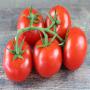 tomates grappes (vine tomatoes)