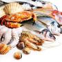 seafood from mauritania best quality fish product