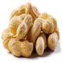 arachides en gros/wholesale peanuts from senegal