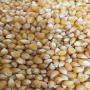 yellow corn,  wheat,  barley,  millet,  yellow peas