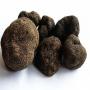 truffes