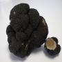 truffe noire