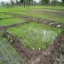 vente de terres agricoles au bénin