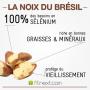 noix du brésil  décortiquées / non décortiquées 