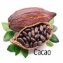 achat de cacao biologie et huiles ...