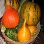 fruits et légumes du senegal