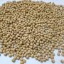 soya beans