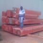 urgent we supply logs and sawn timber from africa