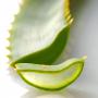 aloe vera bio 