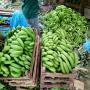 banane mangue avocats ananas noix de cajou coco 