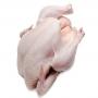 poulets a noflaye(sangalkam) pour 2300 fcfa