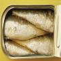 conserves de sardines/ mackerel maroc origin