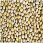 vente de soja bukrina - sale soybeans burkina