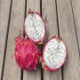 pitaya (fruit du dragon) à la vente départ maroc