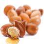 argan - the miraculous golden oil