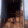 rosewood logs for sale